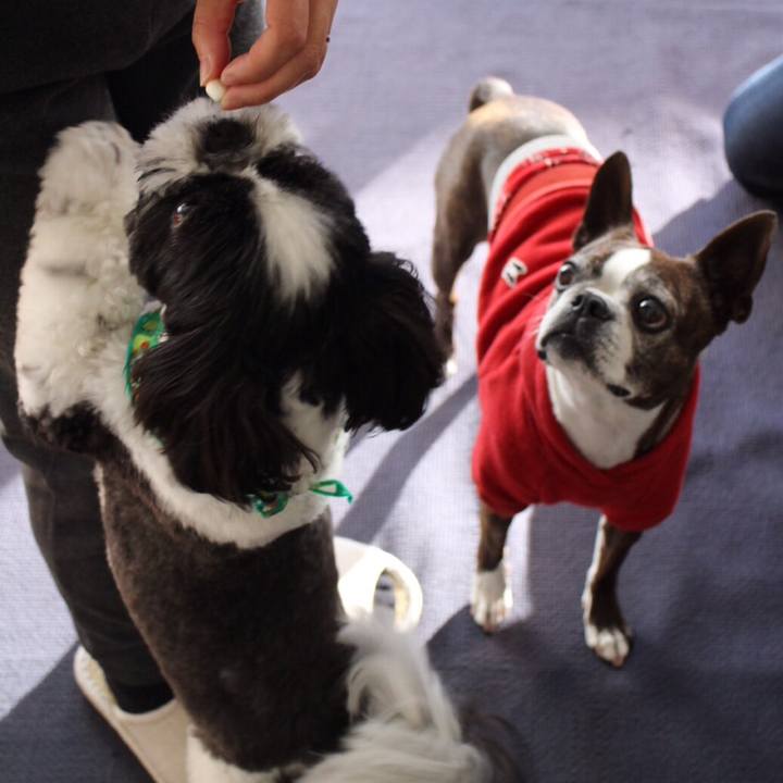 9869c515 ecc5 487a 8cc2 86a9f2bf4fe9