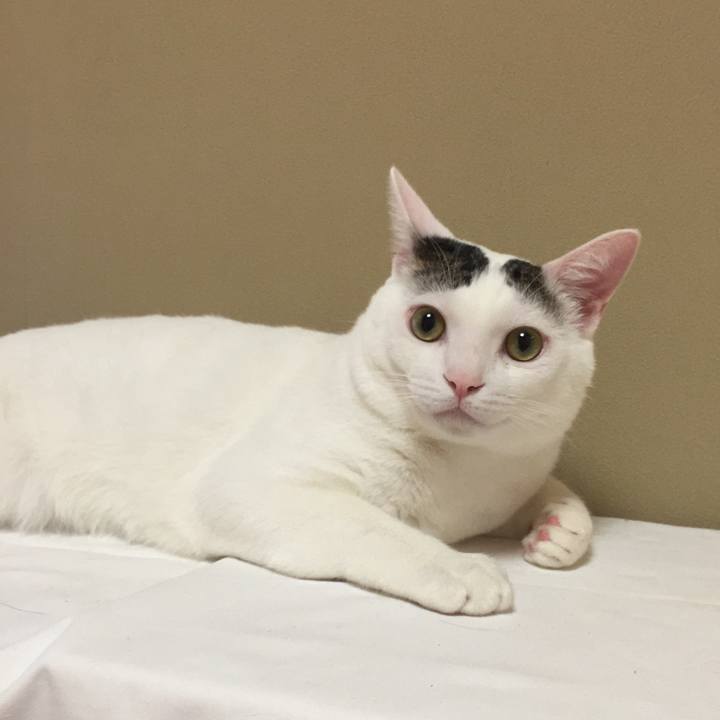 9869ed35 3272 40b8 a805 d94a48e403de