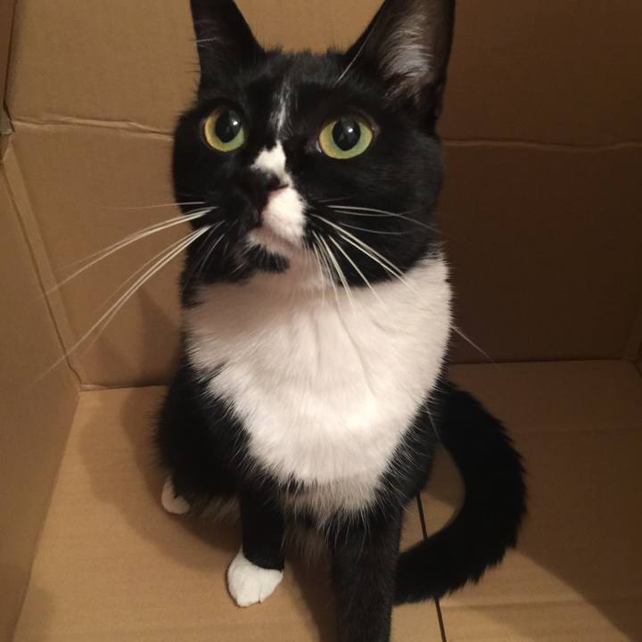 9869fc76 f9c4 4e0f bb66 824e97ce7f1f