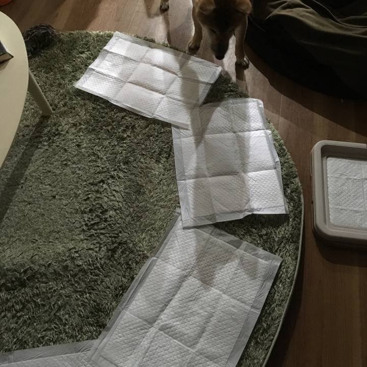 986ac46d 9e36 4ae5 a276 a15fdb98178f