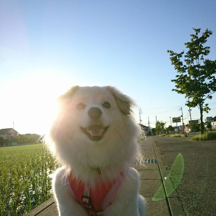 986ad8d1 f9c2 4fe7 85e5 6d18cf8c3599