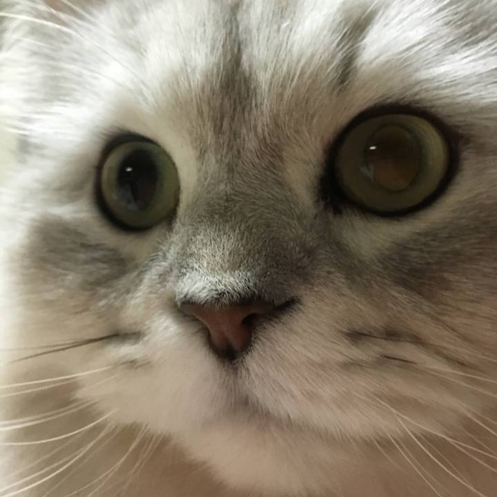 986aff66 754b 4c3a 8667 fd05eb80a34f