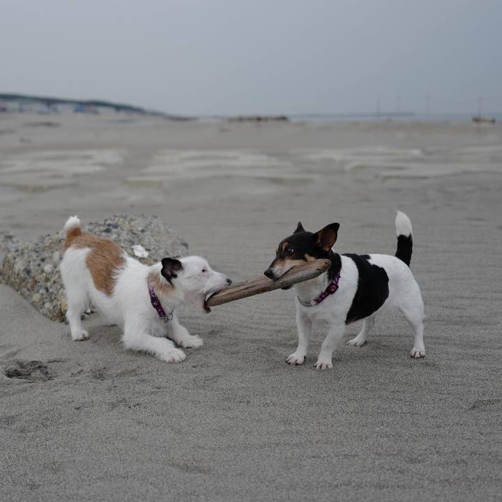 986b99e3 9d38 4812 bac8 6f9e3850c42b