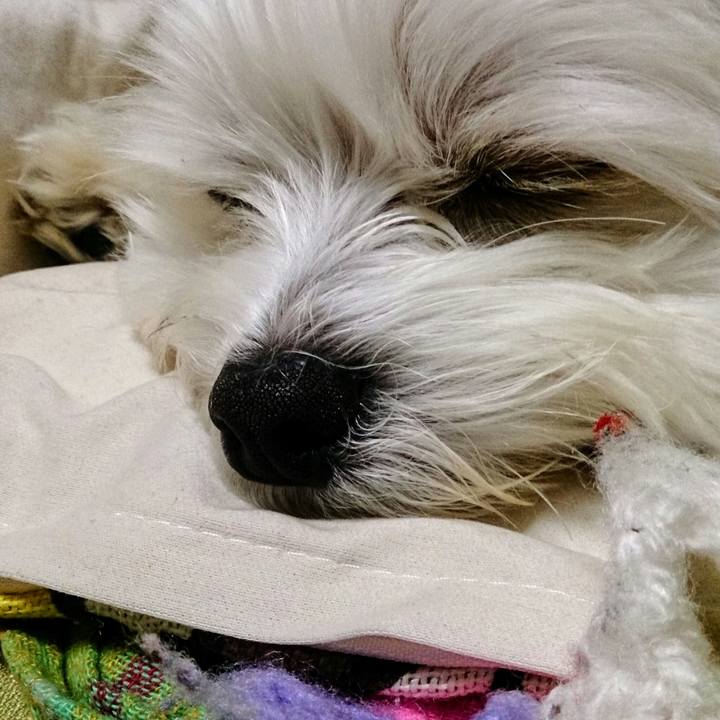 986c2985 cfc8 41f6 a737 d2e1bc083baf