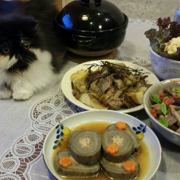 986da980 69ee 4e93 bdcf edcc1716dbec