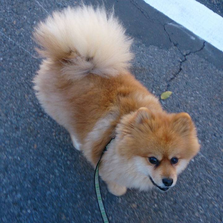 986f94bf d4ee 41ea 8af9 10130e8863ad