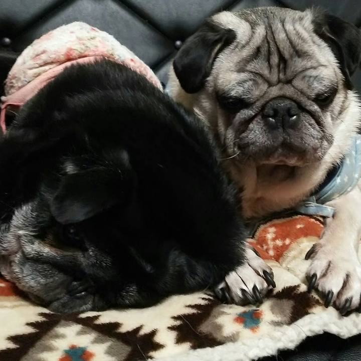 986fb94a 6084 4197 8ff3 b9faad536210