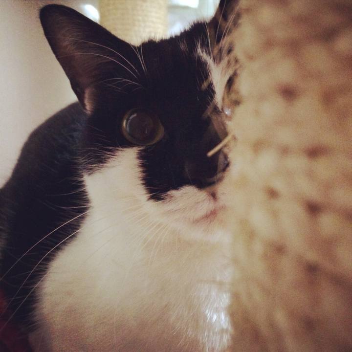 986fd35c e111 4c1b a5ac 0f33e8505fe2