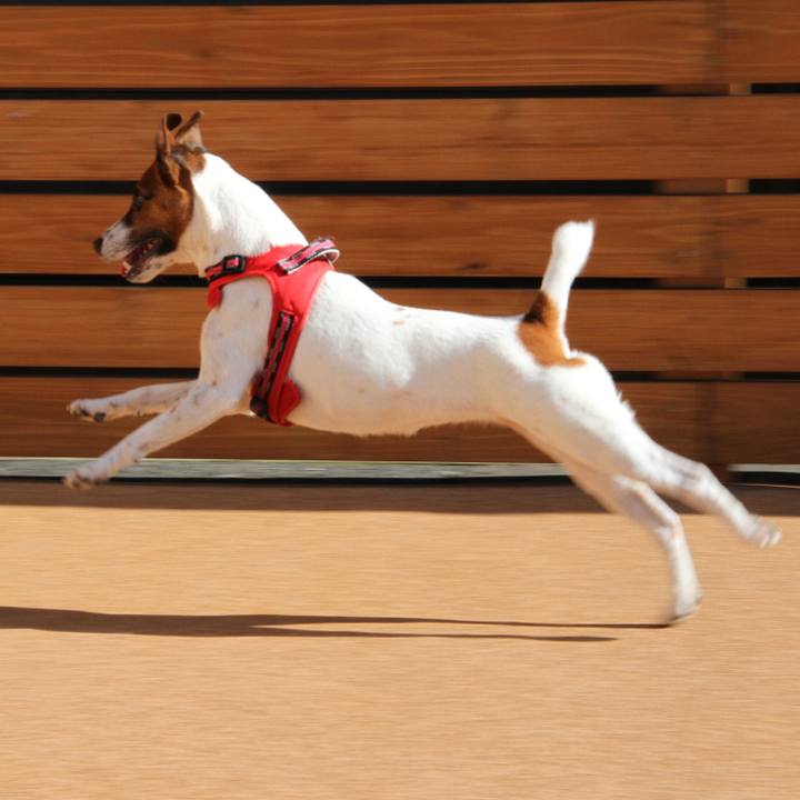 986ffeff dde1 4657 b24a ed3faca81741