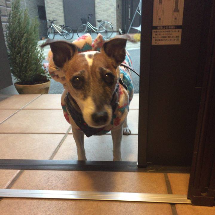 98714755 294f 4007 89d8 171dacb46f6b