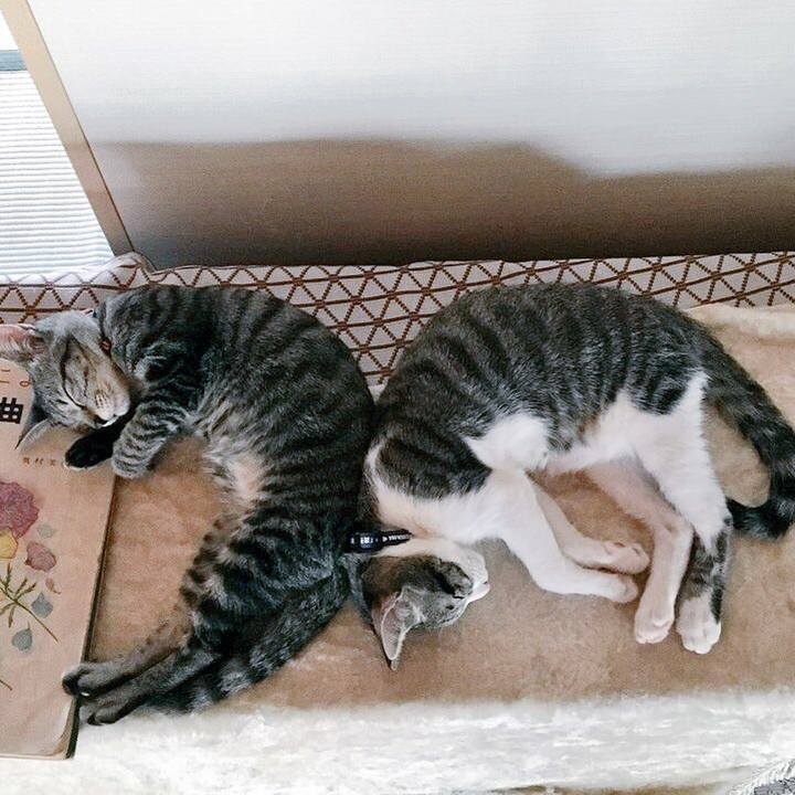 9871b0a2 6c96 4e6a b817 d1120e74fc42