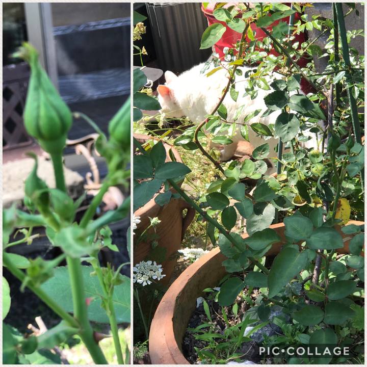 9871d3ad ae38 4ae1 a070 be8b07618190