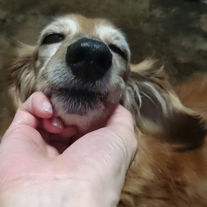 9872261a af58 4f42 ad0a 68a0cc6f6c3b