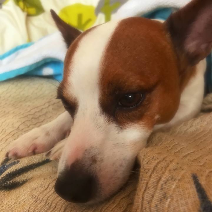 98724dd5 4a2f 4265 b338 2458d135f91a