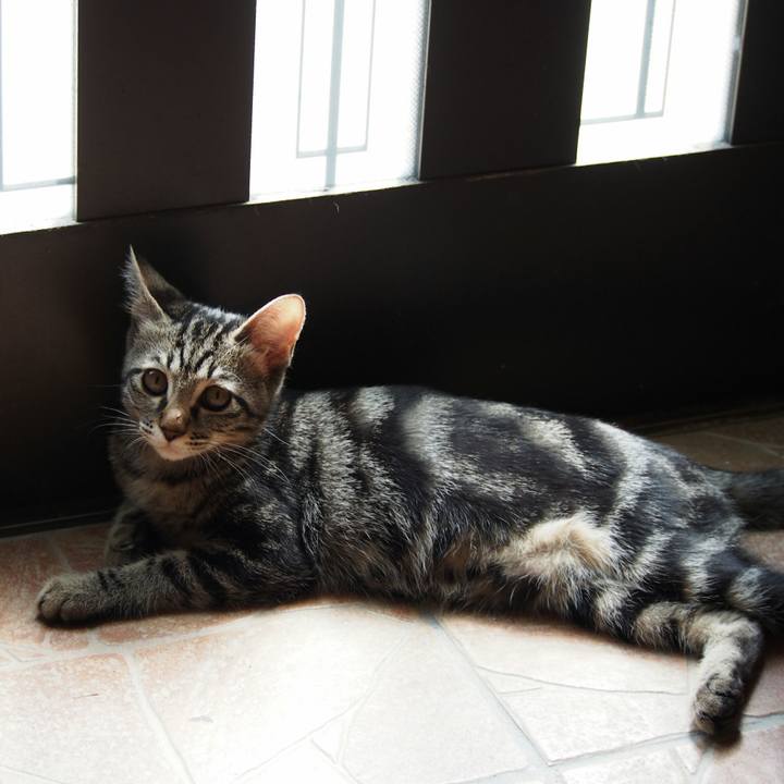 9872cde1 3405 429a b97b 343c39b62111