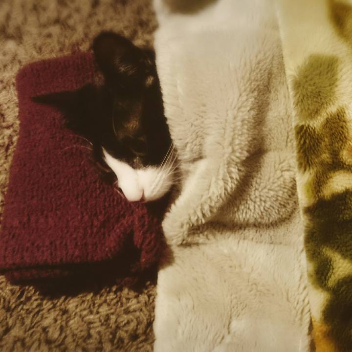 9873a020 694c 4149 ac7f d1ddd91f3a1f