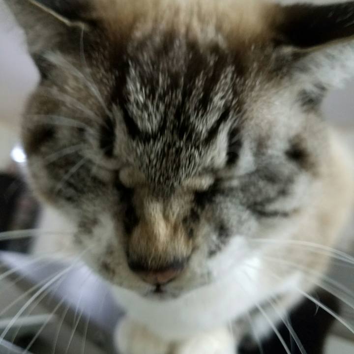 98745dff 01d8 4437 86b3 fbe42534ea7f