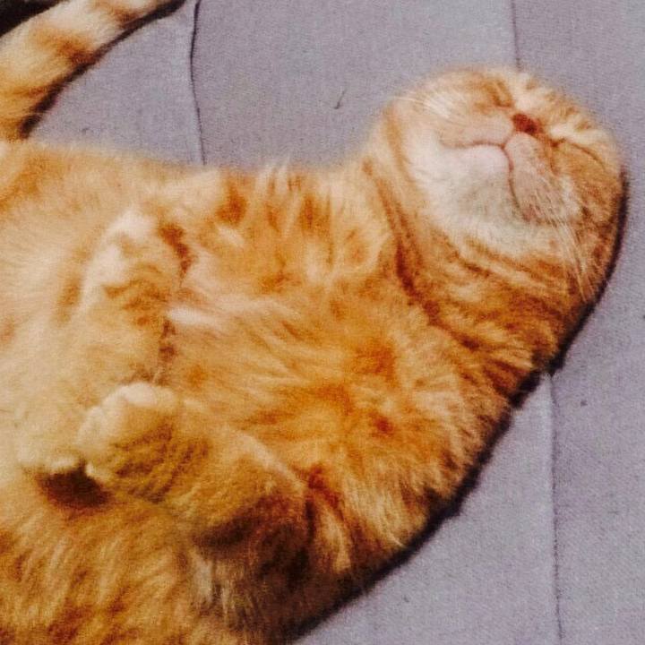 98749a23 33f0 4a78 a25b 9d4188e52259