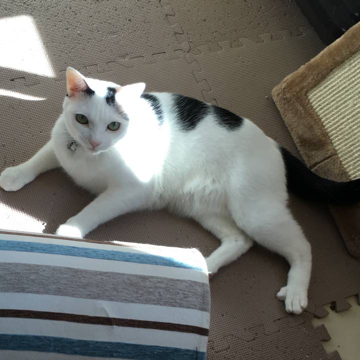 9874c25d 8e6e 4f4d bf0a f86c8eb45129