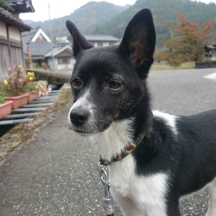 98751b1d a3f9 4046 8d7c 2f206ffcf54a