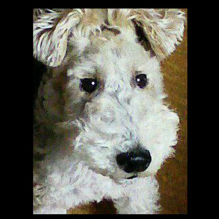 98759d4f c79b 4ffb 9fbb 5bbf8ca42ecd