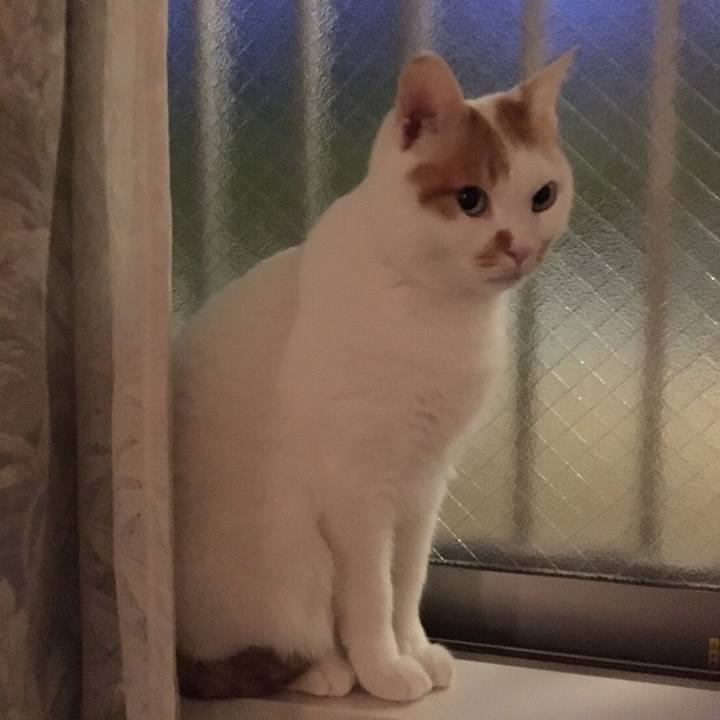 98761184 22e0 428f 976e 366fde7d3ff2