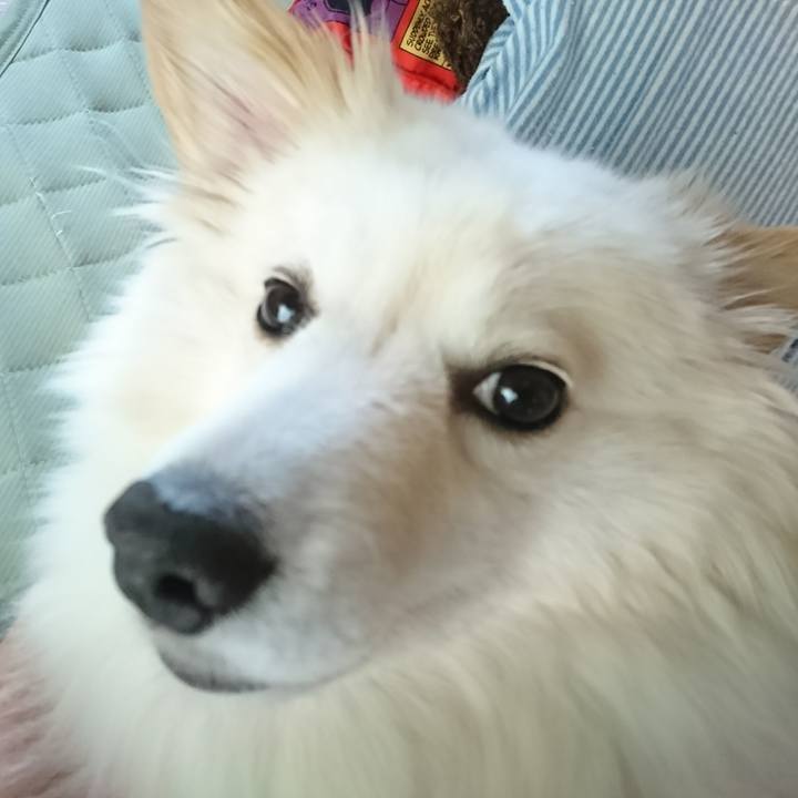 987623f7 df07 4642 8fad 0b80b3f93080