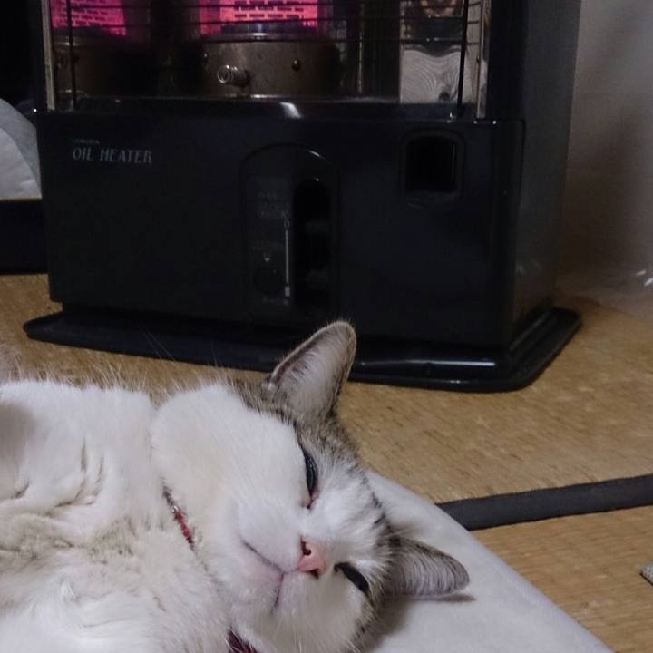 98763396 25b6 40a0 876b 367bfc501c5a