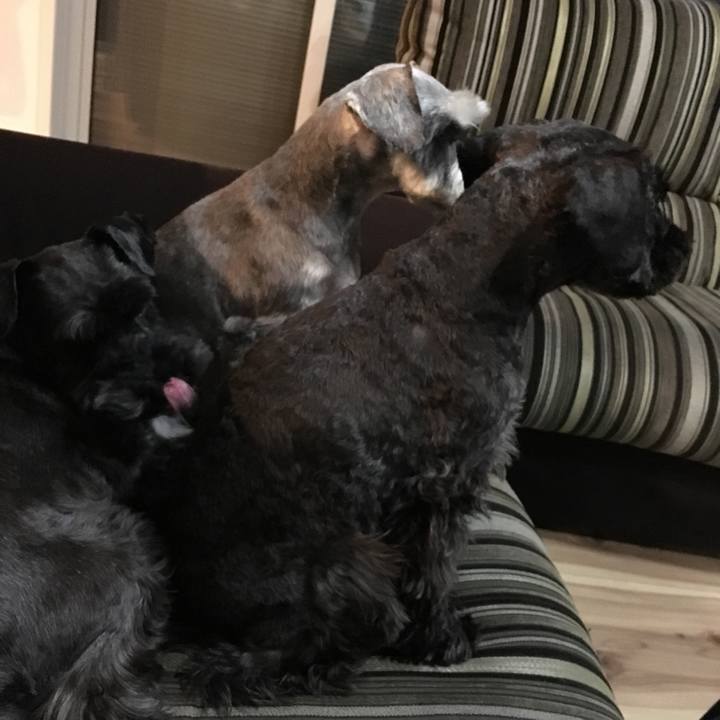 98776197 1433 439c b20a e19dedaf2121