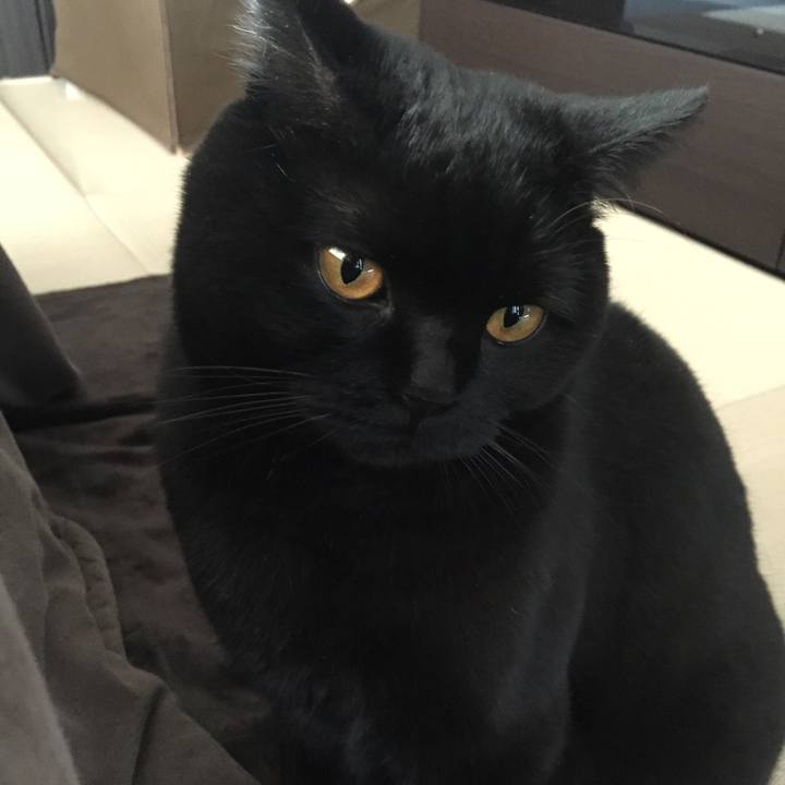 98782b51 083c 4c37 997d faa964bf91b1