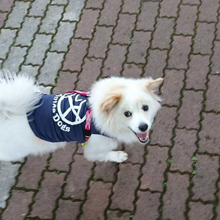 98789839 8747 4491 9d6c f0aa6a2759ff