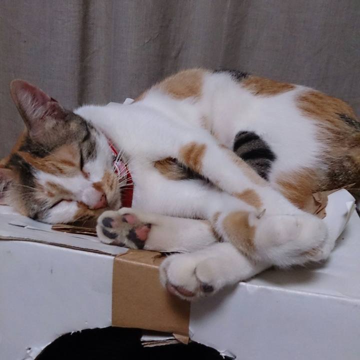 98789b31 1679 4afe 9ab6 443c915d82e7