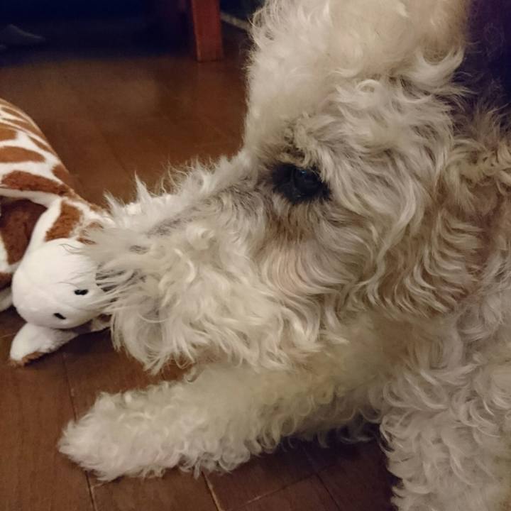 9878f5ac 2d8b 48f9 b90f 343d1dbe9375