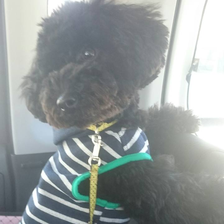 987acd81 bd65 4a70 9cf5 24ad9aa198a6