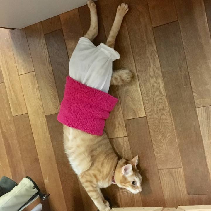 987bcb7b 76dc 4078 9f1c e635e35173b3