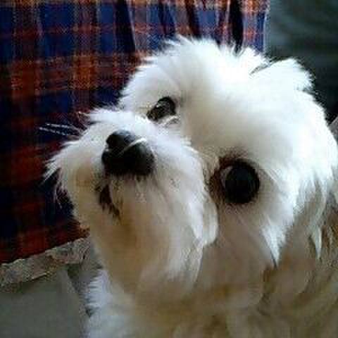 987c1396 d9cd 4109 a764 d7747a3ce4f7