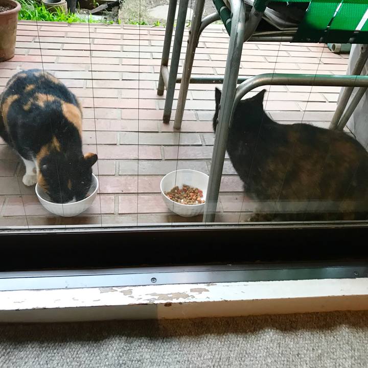 987c357d d100 424a b66a 4942d130faa8