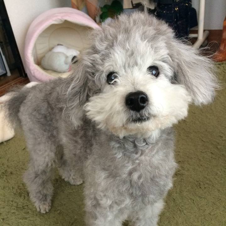 987c8151 f8a2 4f65 8da9 a0764ab85b3b