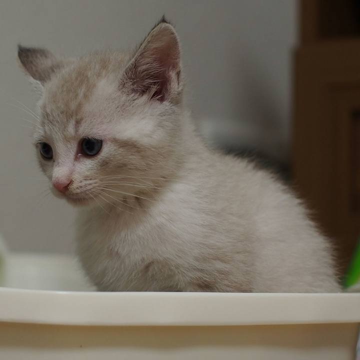 987cc3bf f478 4a1f 87ce 2dc040232183