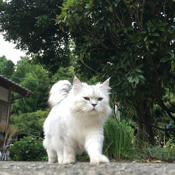 987d676e 0d1b 4397 9878 68f8a996f30a