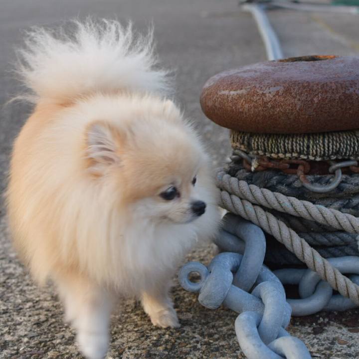 987d9f03 0559 4c2d 992c 3cd226b17c24