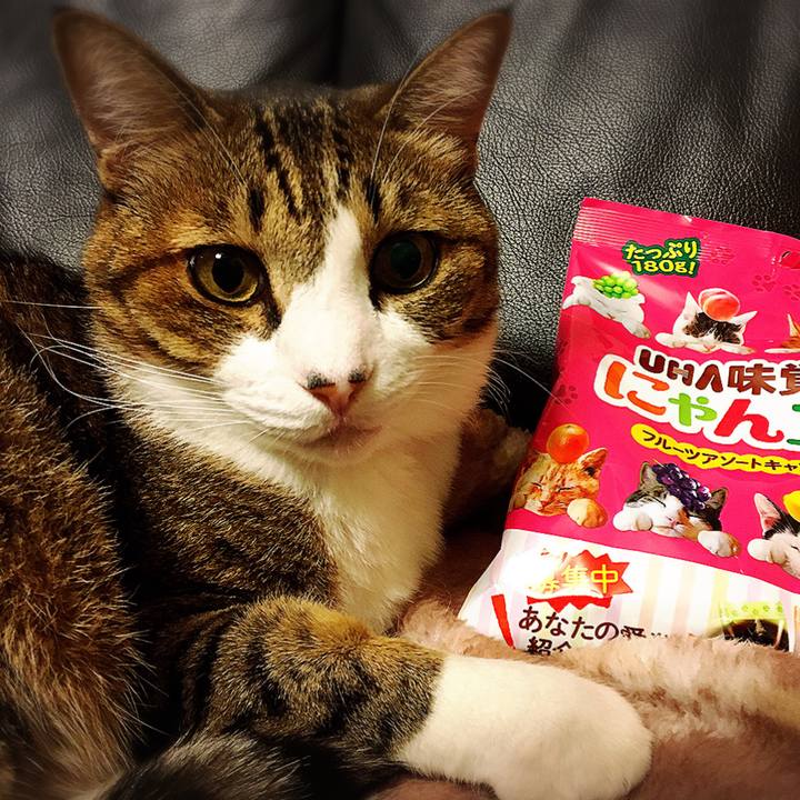 987de50a c845 4a2f b6a1 249e60f460bb