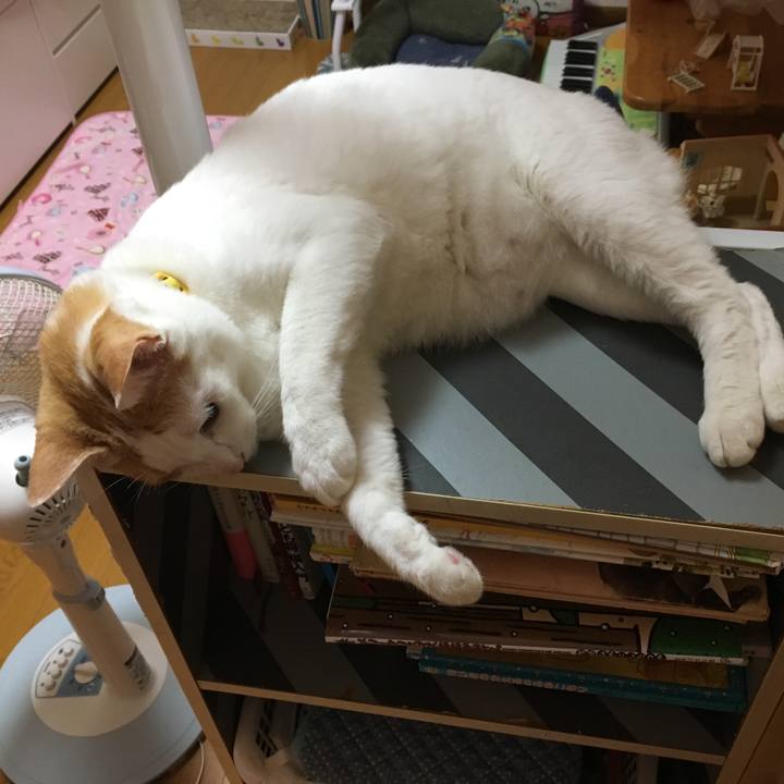 987e541f af2c 4b59 aa52 479250854b90