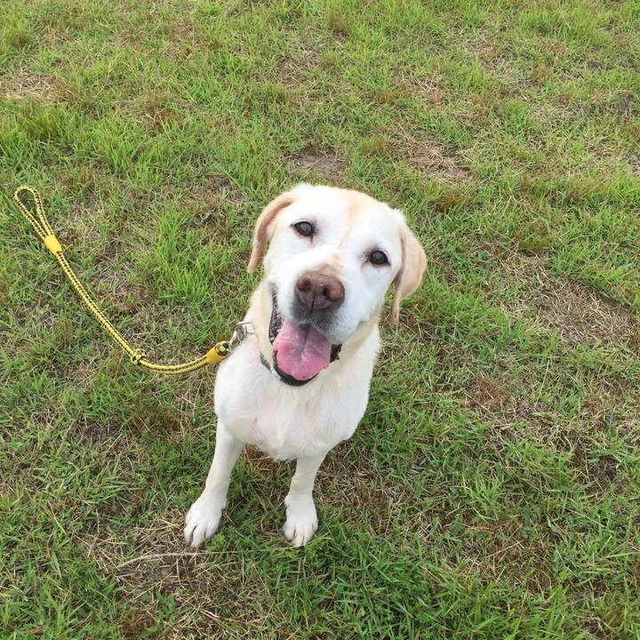 987e8497 1ab6 4bff be5b af88b21fa6e6