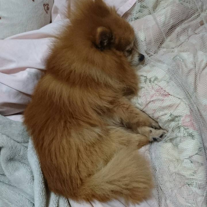 987ef652 bd5e 4c86 b5e9 8f0535f88e08