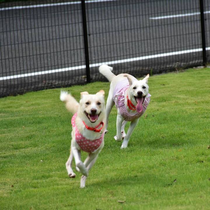 987ef8df e9c6 4905 bc8f 8a306d450c4c