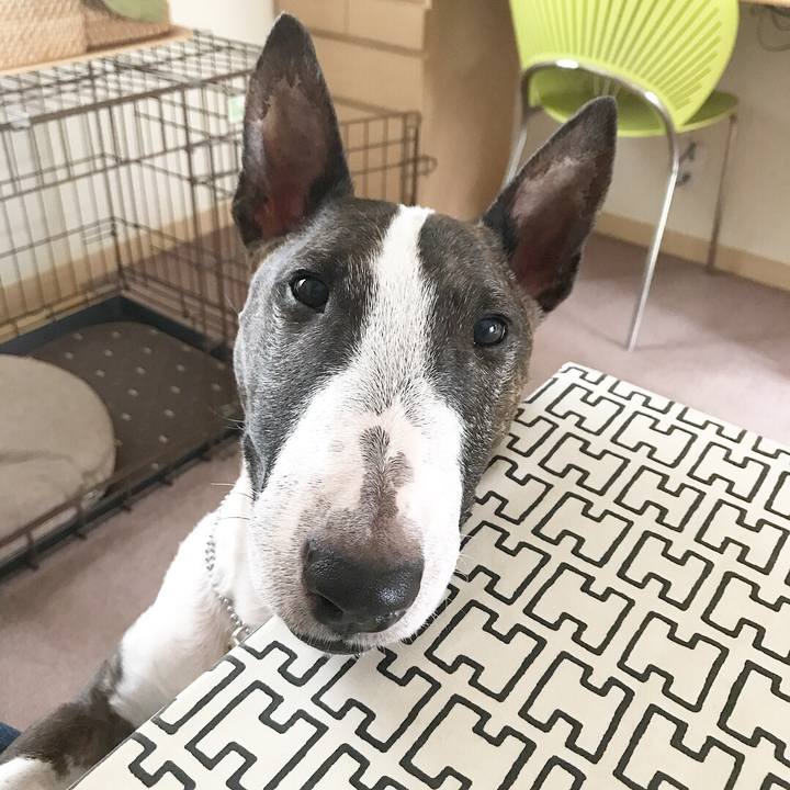 987f1088 4a89 4fc4 98c8 6e07595b6081