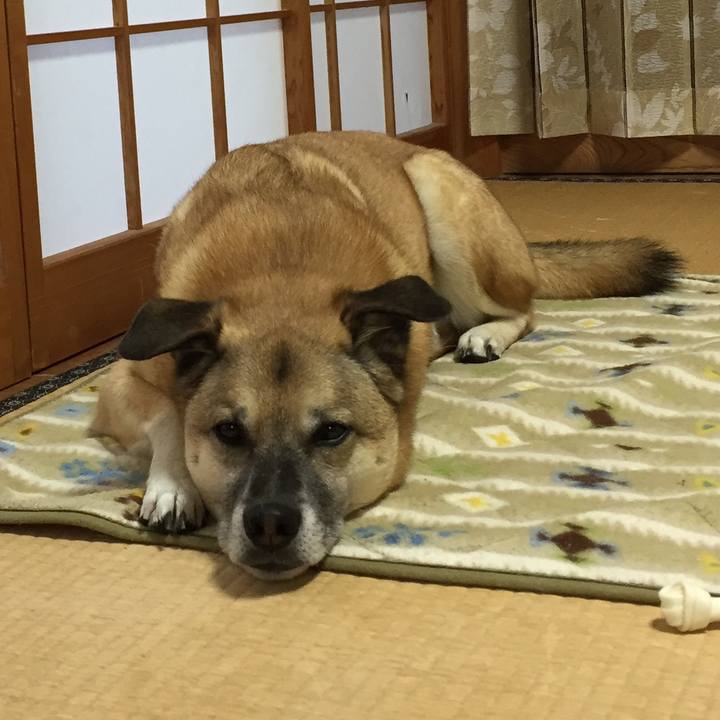 987f96c2 0fe4 4f3c 8198 0a8aa49536bc