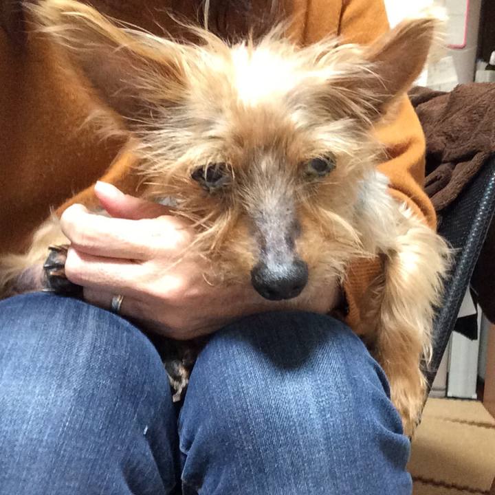 987f9849 fe43 4f3f 89e0 20735a8fa84a