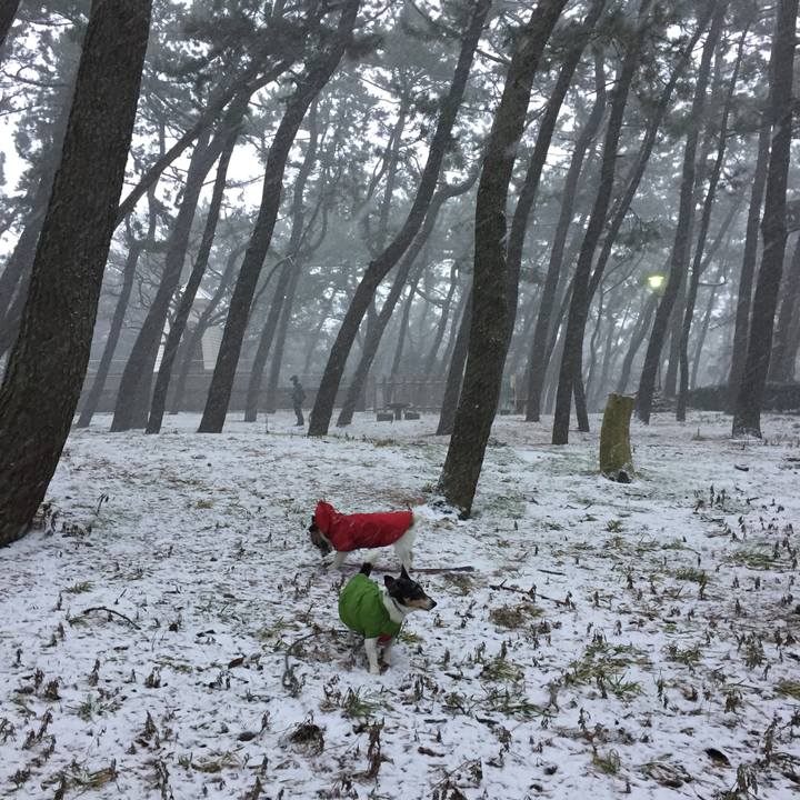 98801094 da94 4060 baa2 ce01d536f6a0